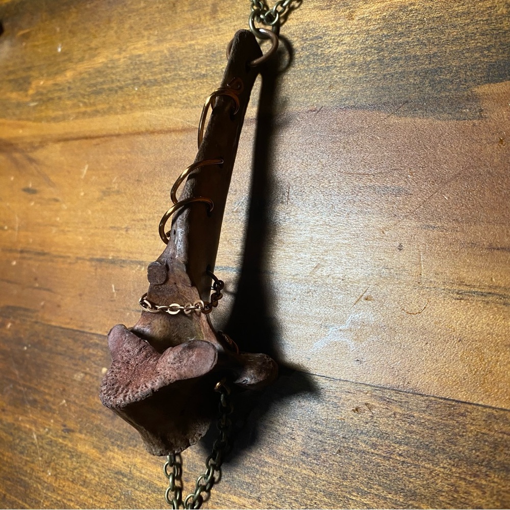 Dyed Deer Vertebrae Bone Copper Wire Brass Chain Necklace - Picture 7 of 12